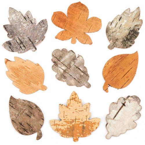 Bark Leaves (Pack of 30) Varying Colours, Natural Craft Materials, Real Bark, Size 60mm