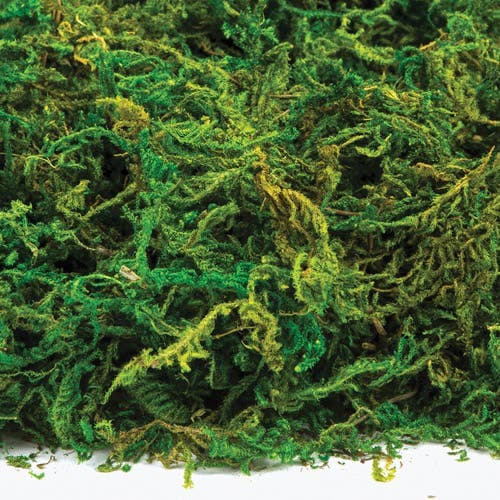 Baker Ross Dried Moss 100g, Real Decorative Moss For Crafting, Natural Crafts, Garlands, Wreath Making