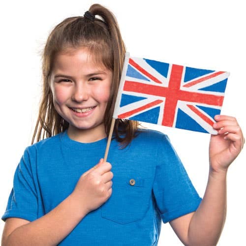 Fabric Hand Waving Flags (Pack of 6) Art Supplies, Art Materials