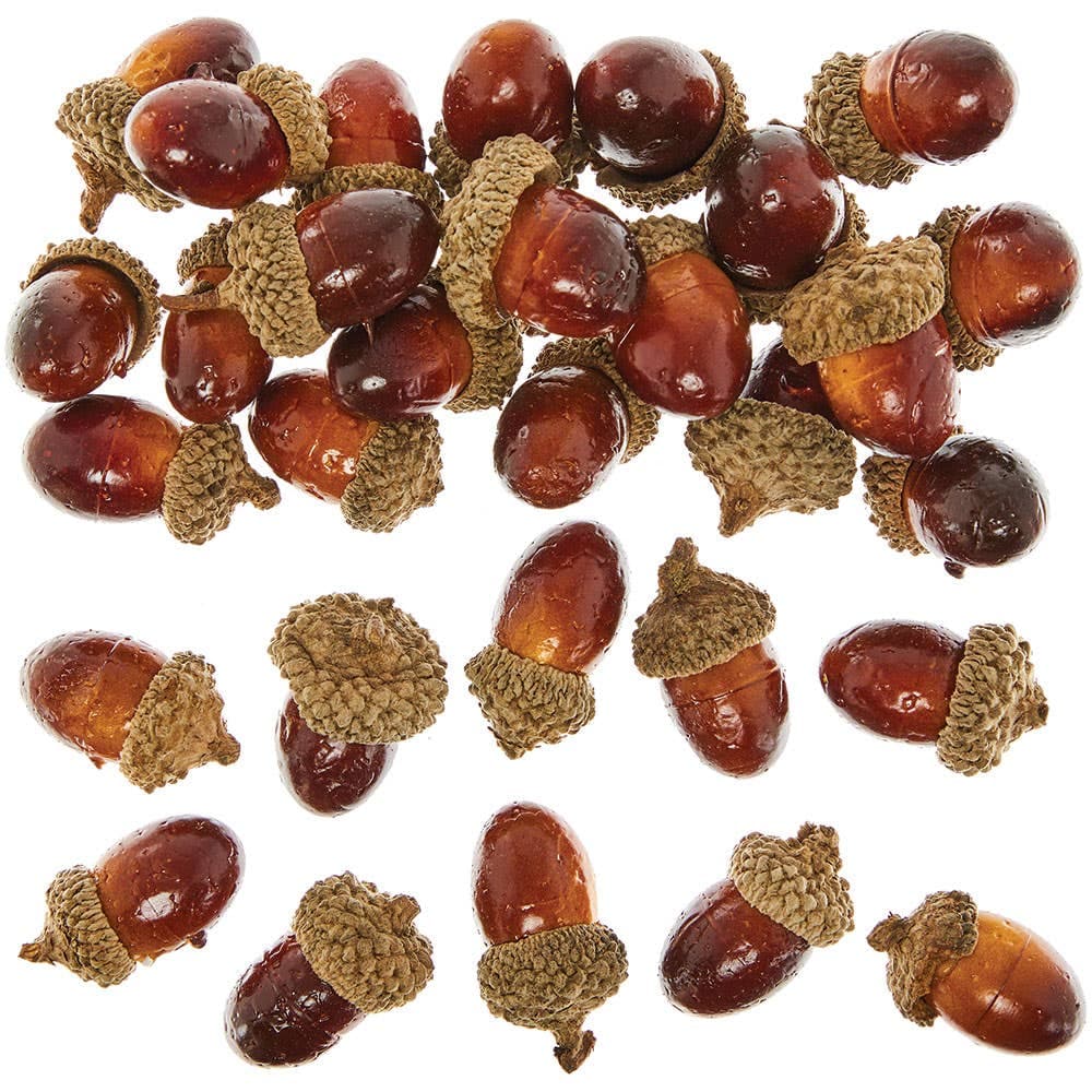 Artificial Acorns For Crafts (Pack of 30) Dark Brown