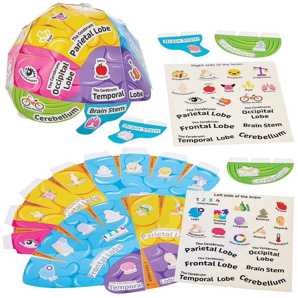 Human Brain Biology Hat Kits (Pack of 4)