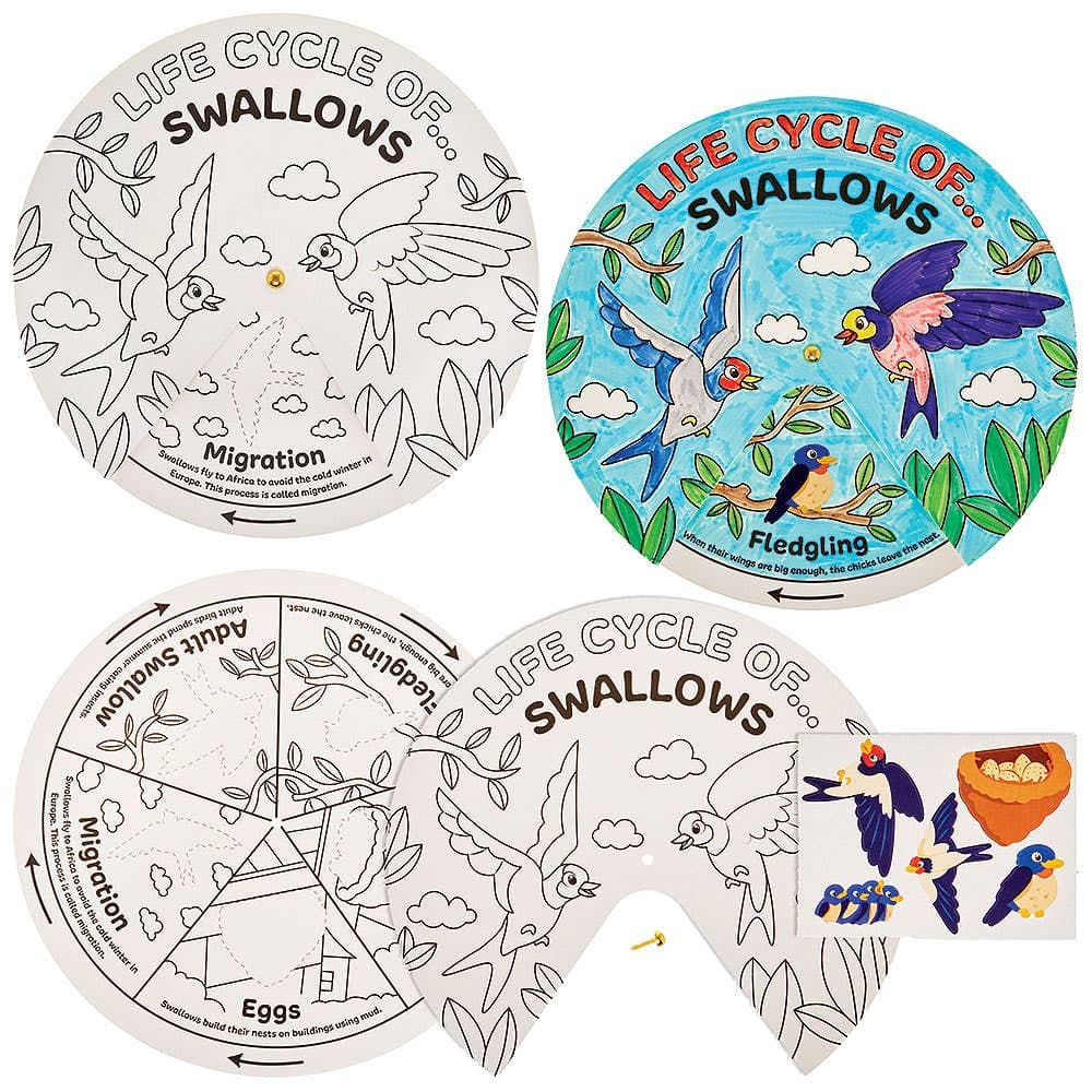 Bird Life Cycle Colour-in Sticker Wheels (Pack of 5)
