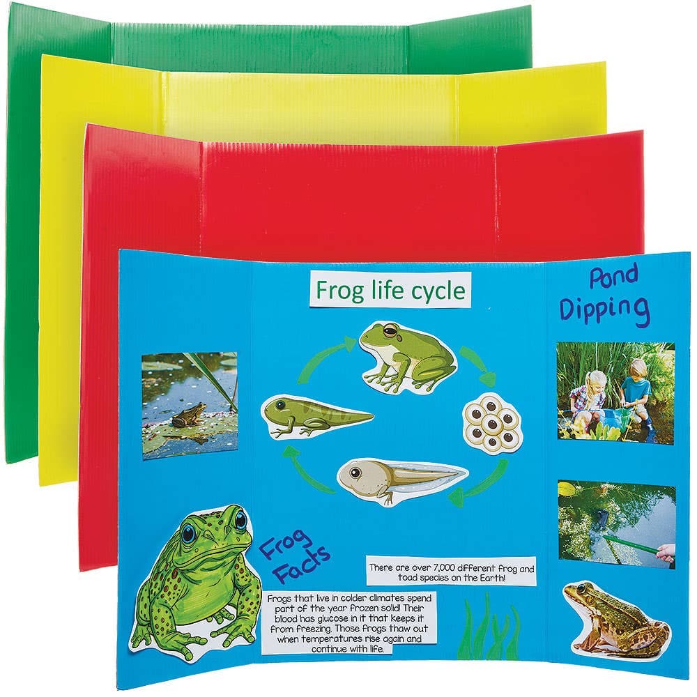 Small Coloured Presentation Boards (Pack of 4) 4 assorted colours - Red, Blue, Yellow & Green