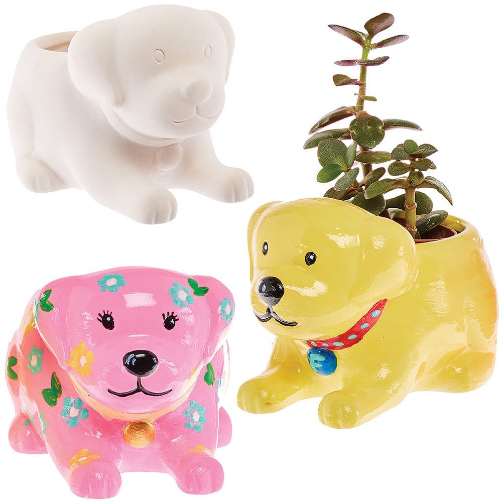 Labrador Dog Ceramic Flowerpots (Box of 2) Nature Craft Kits