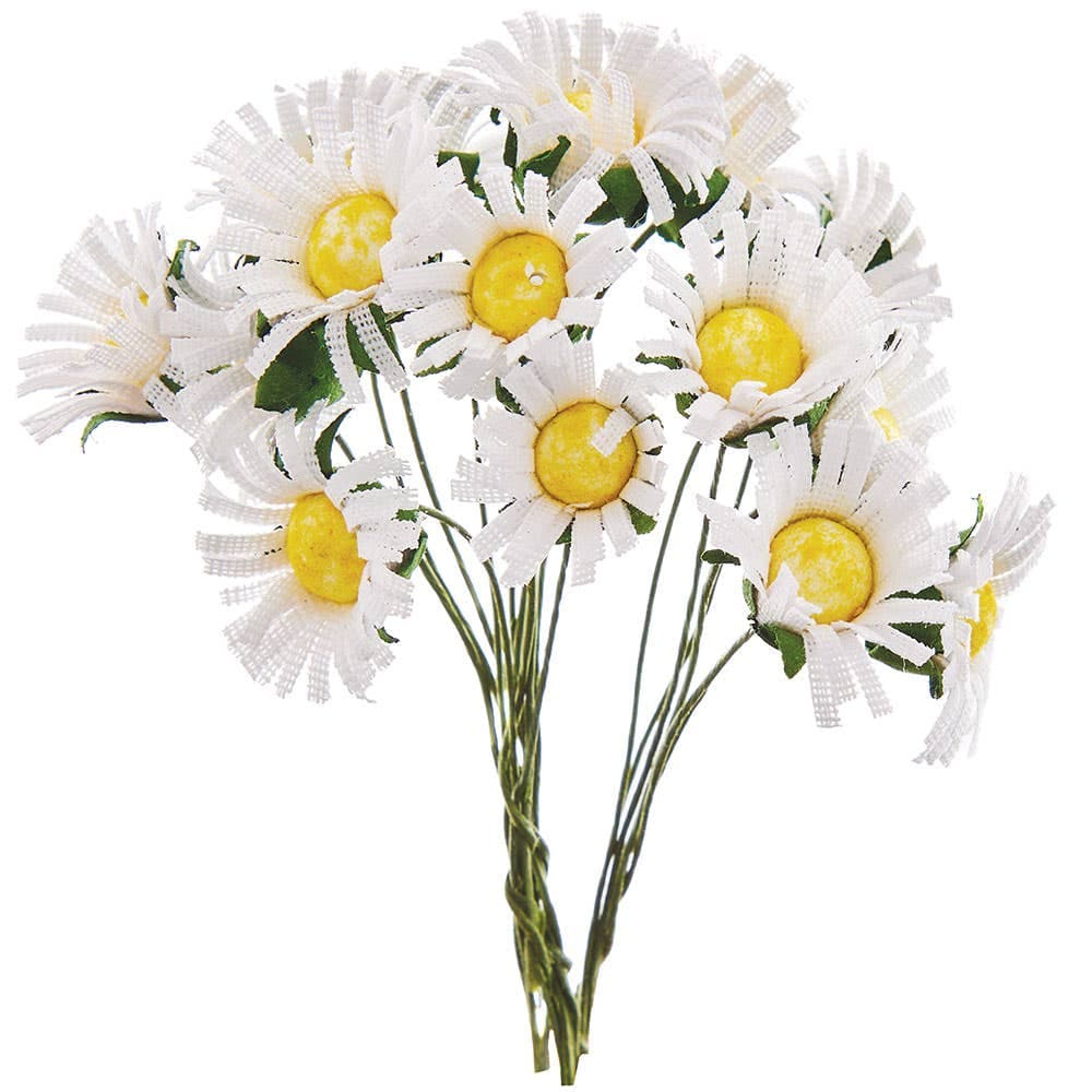 White Daisy Picks (Pack of 20)