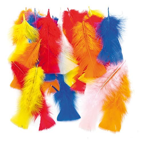 Long Coloured Craft Feathers (Per pack) Natural Craft Materials