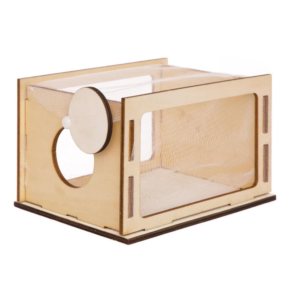 Observational Insect Bug House Kits (Pack of 2) Wood & Mesh, Size 14.5cm x 11cm x 9cm,