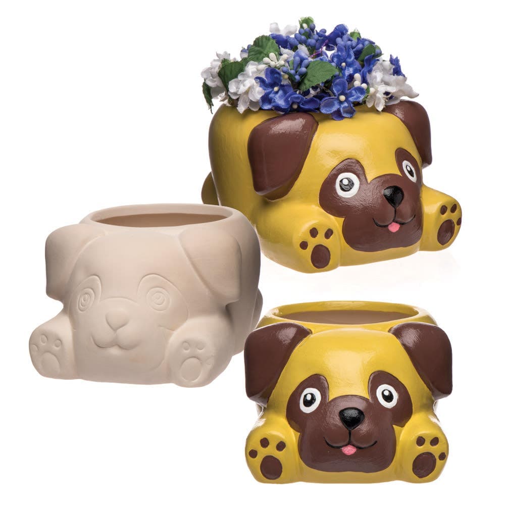 Pug Ceramic Flowerpots (Box of 2) Nature Craft Kits