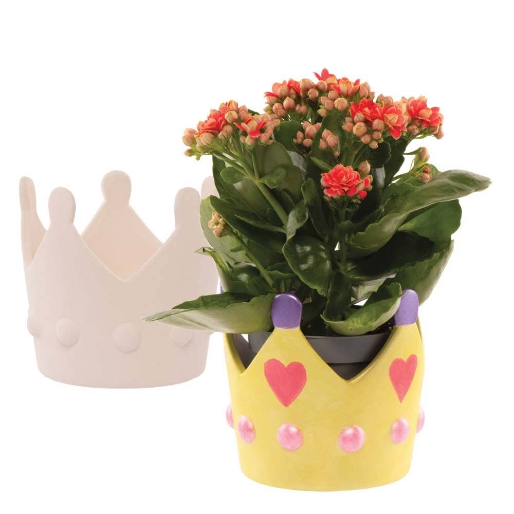 Princess Crown Ceramic Flowerpots (Box of 2) Nature Craft Kits